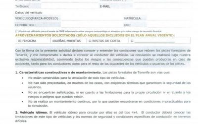 Autorizaciones para aprovechamientos forestales vecinales en montes públicos