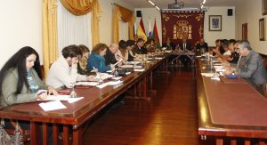 pleno enero 2017