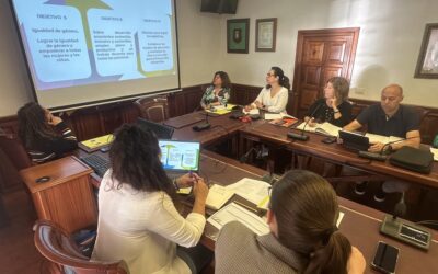 El Área de Mujer e Igualdad crea una comisión técnica de seguimiento para poner en marcha el I Plan de Igualdad Municipal