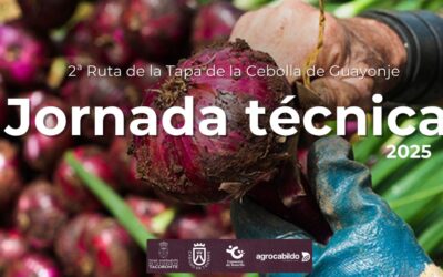 Tacoronte será escenario de un taller sobre la obtención de semillas de la cebolla de Guayonje