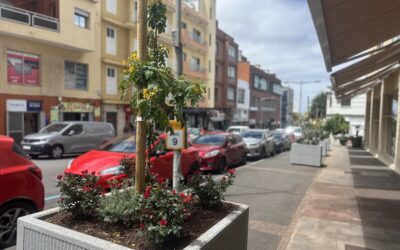 El Área de Parques y Jardines coloca nuevas jardineras para embellecer el entorno comercial de La Estación