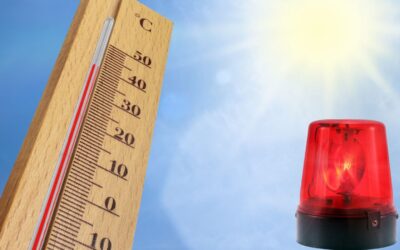 Tacoronte activa el PEMU en ALERTA MÁXIMA por calor y riesgo de incendios forestales