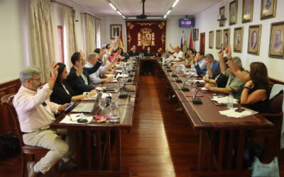 Luz verde a la moción institucional para el control y erradicación de la filoxera y preservación del viñedo local
