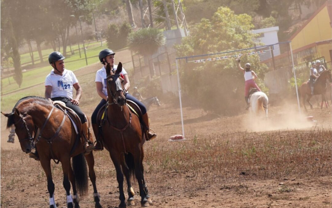 Suspendida la carrera de sortijas a caballo por la ola de calor que atraviesa la Isla