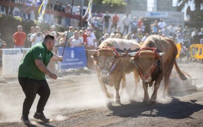 El barrio de San Juan prepara una nueva edición festiva en honor a San Antonio Abad