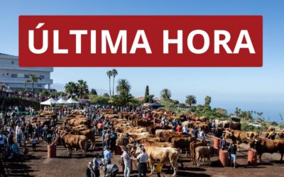 El mal tiempo obliga al aplazamiento de los actos de este fin de semana en honor a San Antonio Abad