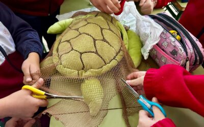 El Ayuntamiento de Tacoronte y la Universidad de La Laguna activan la segunda edición del Programa de Vocaciones Científicas en Tacoronte