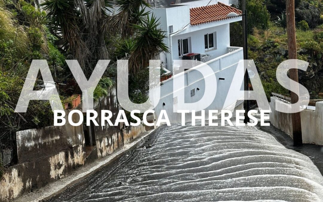Abierto el plazo de solicitud de ayudas del Gobierno de España para paliar los daños materiales en viviendas y enseres por la borrasca Therese