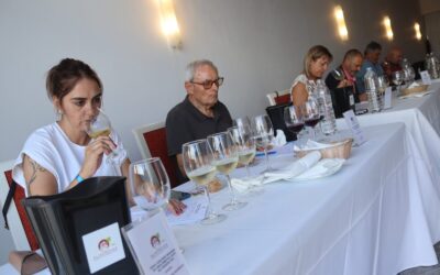 Güímar será el municipio que acoja los días 27 y 28 de abril la fase de catas del 39º Concurso Regional de Vinos Alhóndiga