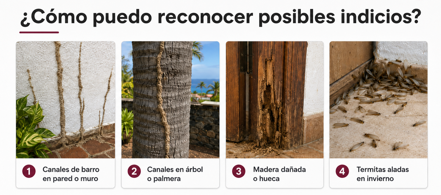Answer image alt text