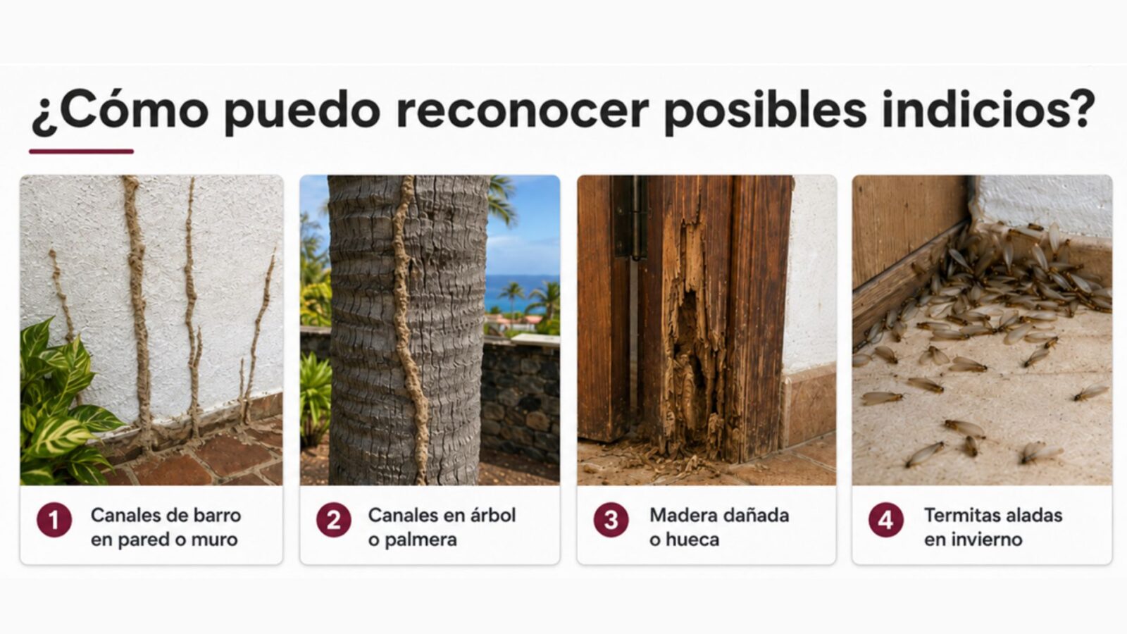 Answer image alt text
