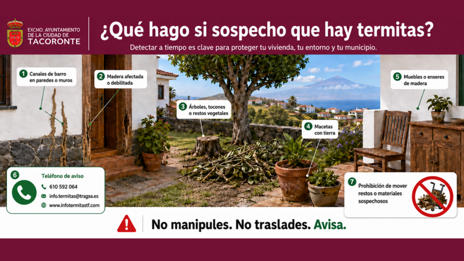 ¿Qué hago si sospecho que hay termitas?