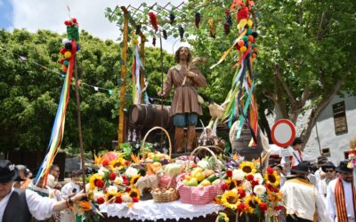 La Romería en honor a San Isidro Labrador reafirma el compromiso de Tacoronte con sus tradiciones