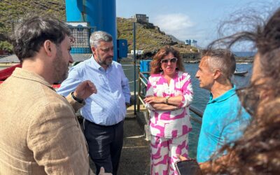 Gobierno de Canarias y Ayuntamiento consensúan mejoras para el entorno pesquero de El Pris