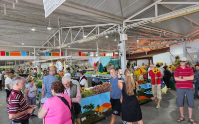 Tacoronte prepara la conmemoración del 45º aniversario del Mercadillo del Agricultor de la ciudad