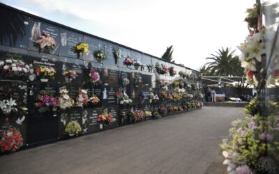 Tacoronte da luz verde a la cuarta fase de ampliación del Cementerio Municipal con 544 nuevos nichos y 168 columbarios