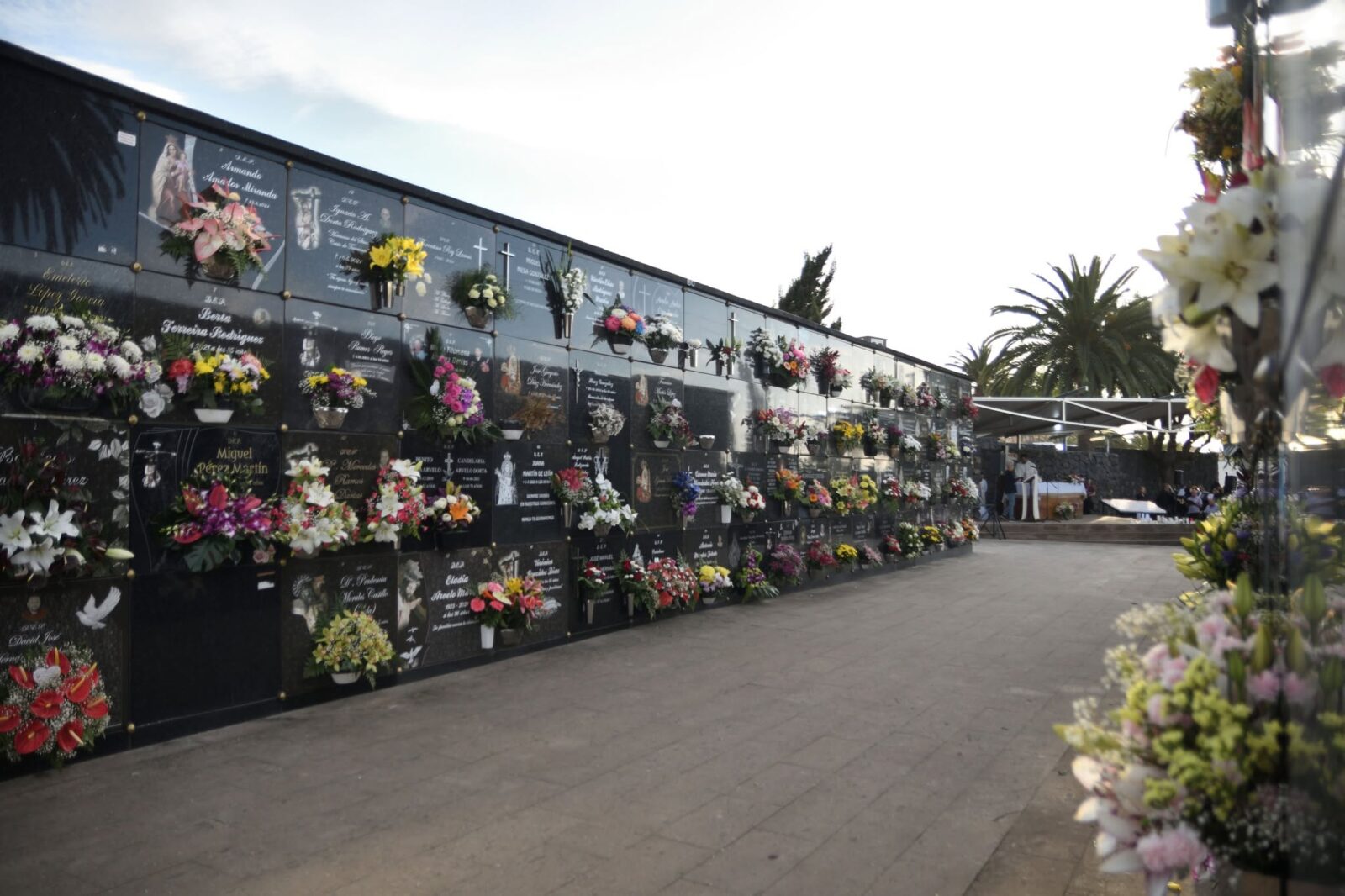 02_CEMENTERIO TACORONTE
